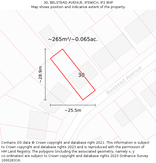 30, BELSTEAD AVENUE, IPSWICH, IP2 8NP: Plot and title map