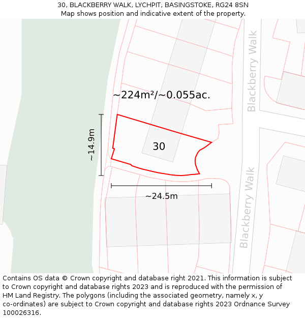 30, BLACKBERRY WALK, LYCHPIT, BASINGSTOKE, RG24 8SN: Plot and title map