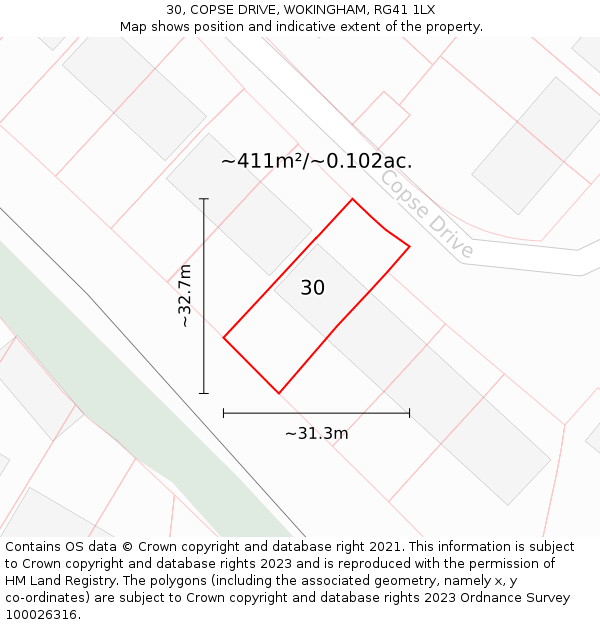 30, COPSE DRIVE, WOKINGHAM, RG41 1LX: Plot and title map