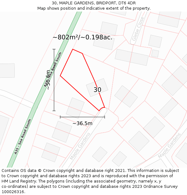 30, MAPLE GARDENS, BRIDPORT, DT6 4DR: Plot and title map