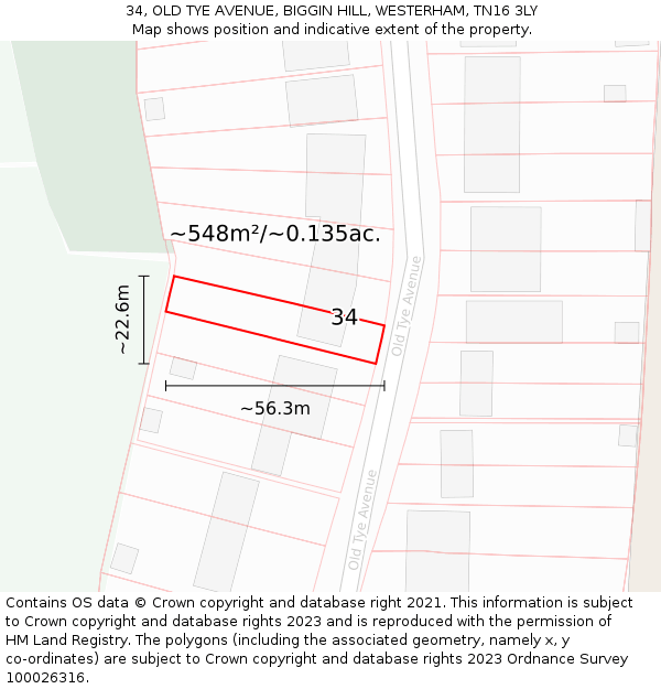 34, OLD TYE AVENUE, BIGGIN HILL, WESTERHAM, TN16 3LY: Plot and title map