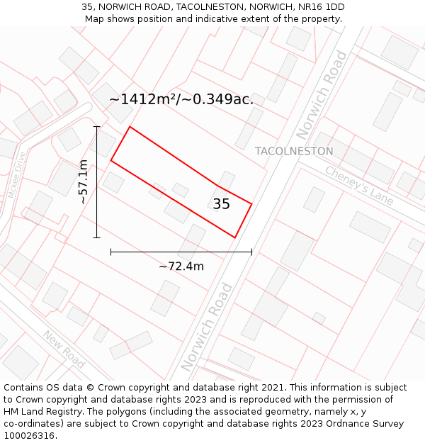 35, NORWICH ROAD, TACOLNESTON, NORWICH, NR16 1DD: Plot and title map