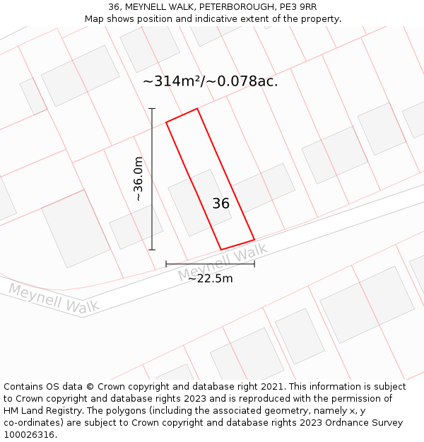 36, MEYNELL WALK, PETERBOROUGH, PE3 9RR: Plot and title map
