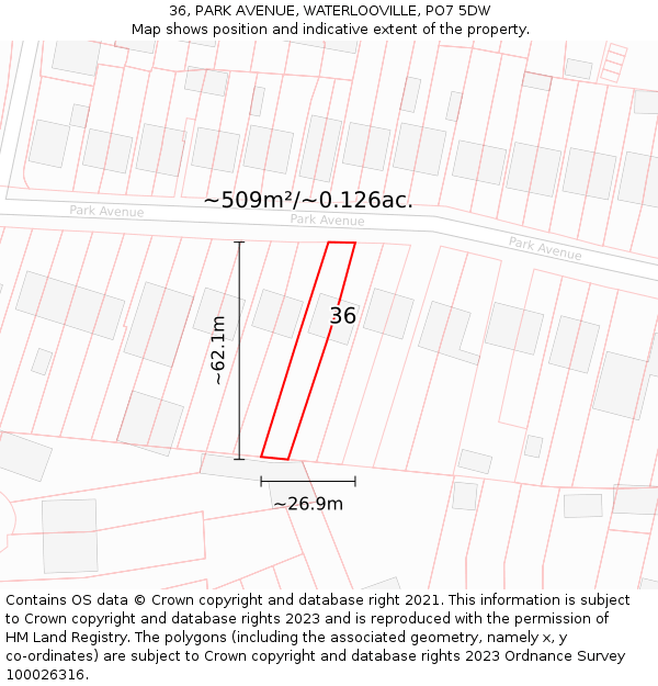 36, PARK AVENUE, WATERLOOVILLE, PO7 5DW: Plot and title map