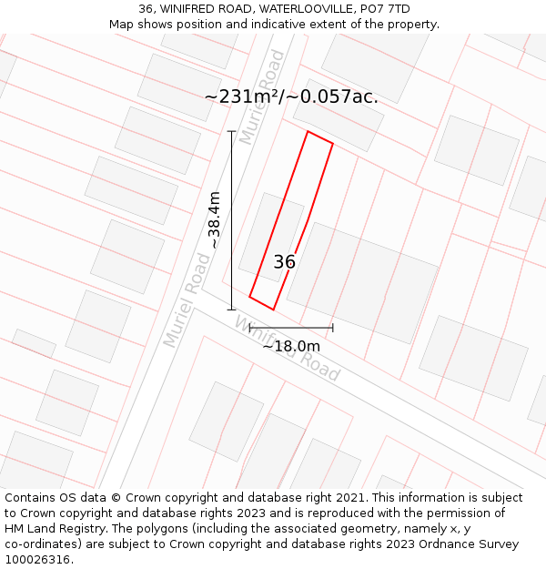 36, WINIFRED ROAD, WATERLOOVILLE, PO7 7TD: Plot and title map