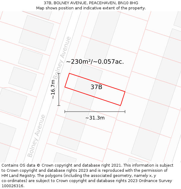 37B, BOLNEY AVENUE, PEACEHAVEN, BN10 8HG: Plot and title map