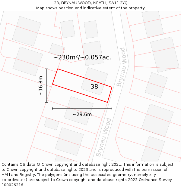 38, BRYNAU WOOD, NEATH, SA11 3YQ: Plot and title map