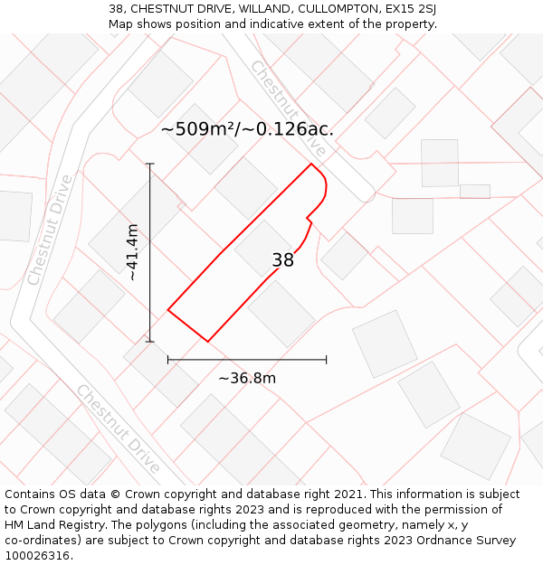 38, CHESTNUT DRIVE, WILLAND, CULLOMPTON, EX15 2SJ: Plot and title map