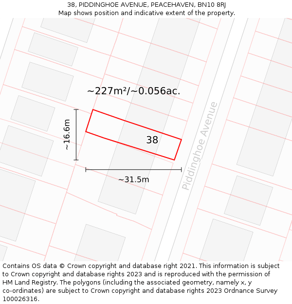 38, PIDDINGHOE AVENUE, PEACEHAVEN, BN10 8RJ: Plot and title map