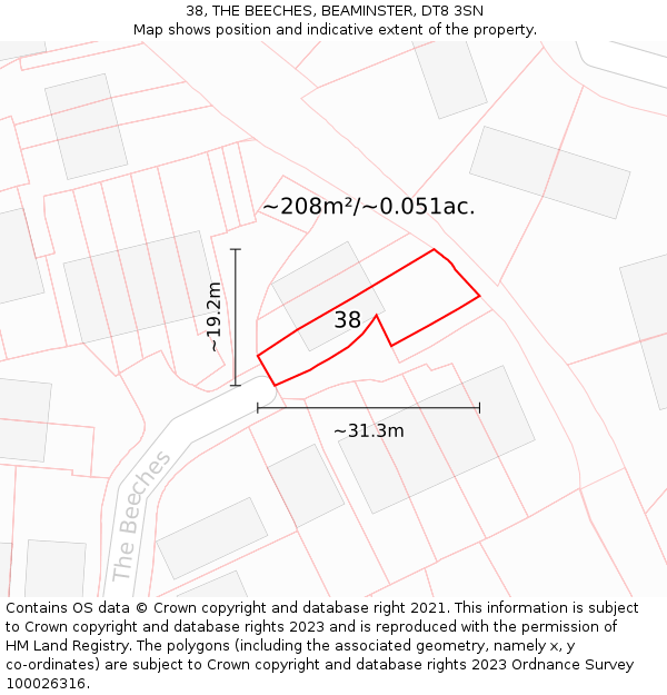 38, THE BEECHES, BEAMINSTER, DT8 3SN: Plot and title map