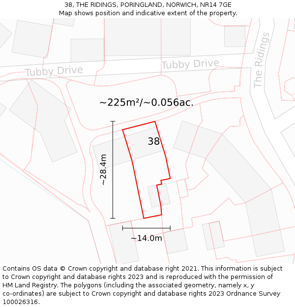 38, THE RIDINGS, PORINGLAND, NORWICH, NR14 7GE: Plot and title map