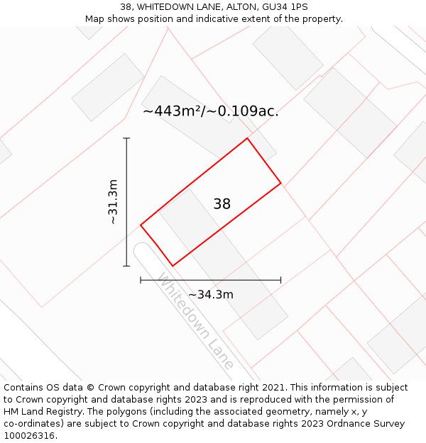 38, WHITEDOWN LANE, ALTON, GU34 1PS: Plot and title map