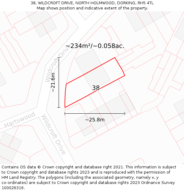 38, WILDCROFT DRIVE, NORTH HOLMWOOD, DORKING, RH5 4TL: Plot and title map