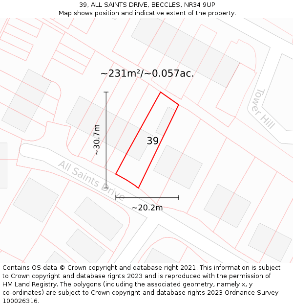 39, ALL SAINTS DRIVE, BECCLES, NR34 9UP: Plot and title map