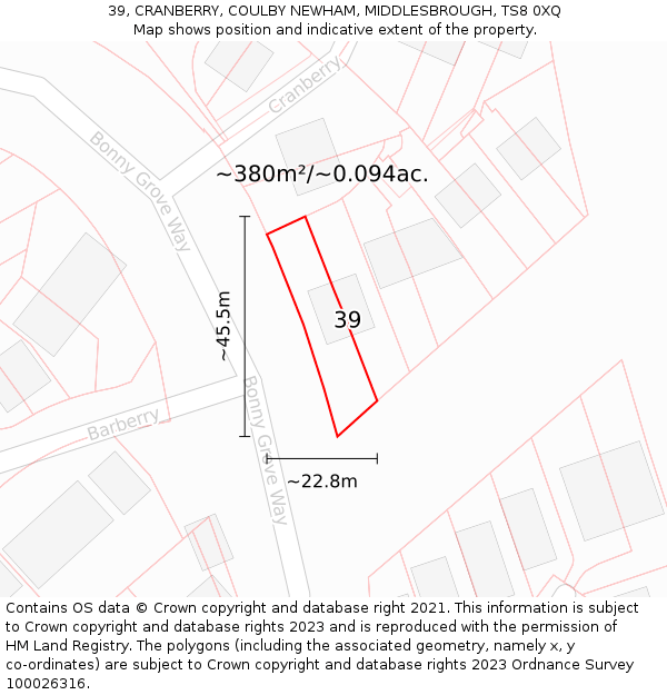 39, CRANBERRY, COULBY NEWHAM, MIDDLESBROUGH, TS8 0XQ: Plot and title map