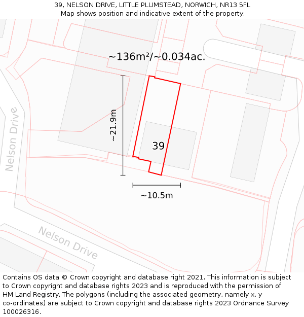 39, NELSON DRIVE, LITTLE PLUMSTEAD, NORWICH, NR13 5FL: Plot and title map