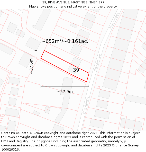 39, PINE AVENUE, HASTINGS, TN34 3PP: Plot and title map