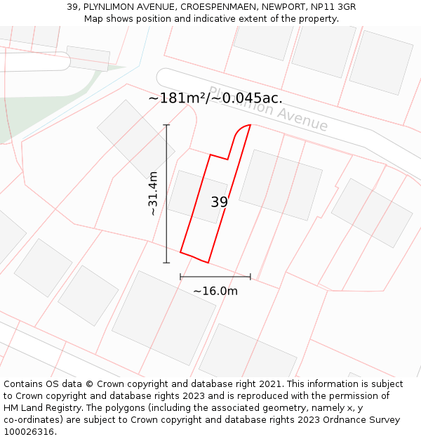 39, PLYNLIMON AVENUE, CROESPENMAEN, NEWPORT, NP11 3GR: Plot and title map