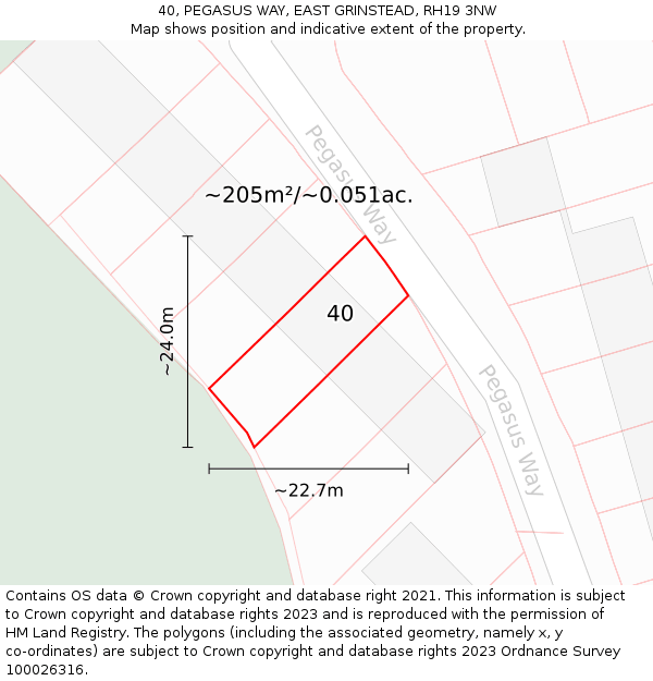 40, PEGASUS WAY, EAST GRINSTEAD, RH19 3NW: Plot and title map