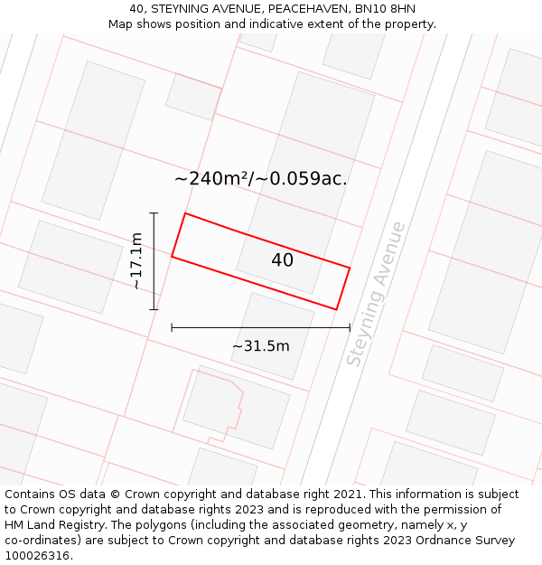 40, STEYNING AVENUE, PEACEHAVEN, BN10 8HN: Plot and title map