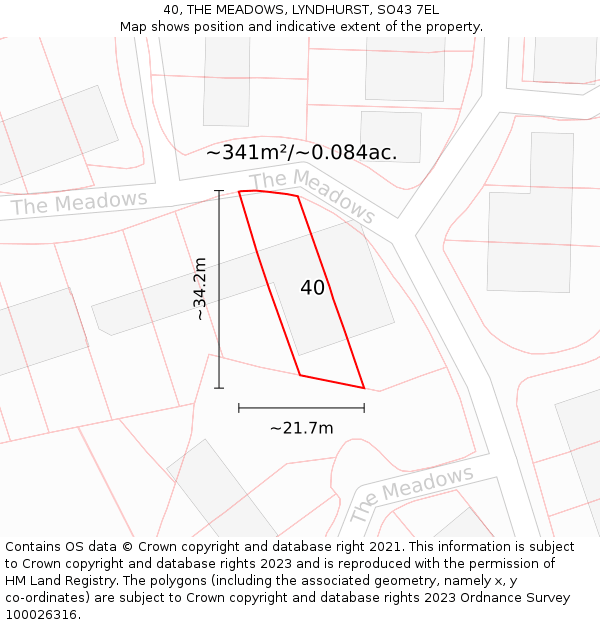 40, THE MEADOWS, LYNDHURST, SO43 7EL: Plot and title map