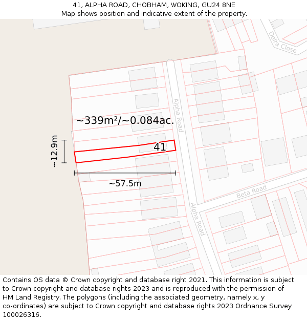 41, ALPHA ROAD, CHOBHAM, WOKING, GU24 8NE: Plot and title map