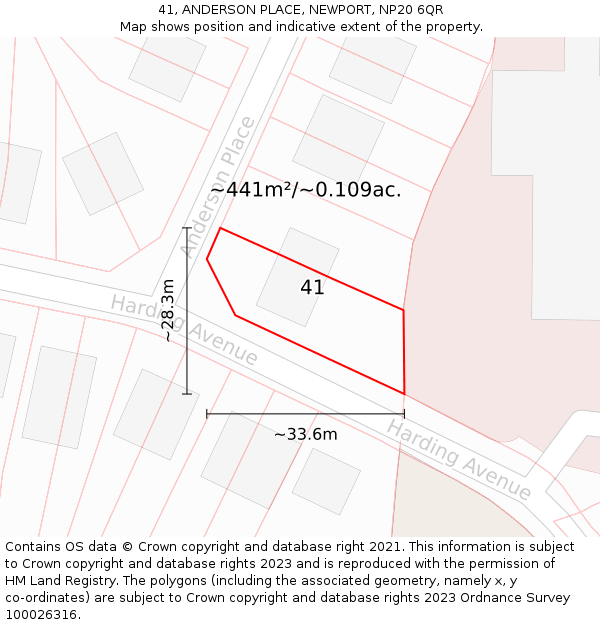 41, ANDERSON PLACE, NEWPORT, NP20 6QR: Plot and title map