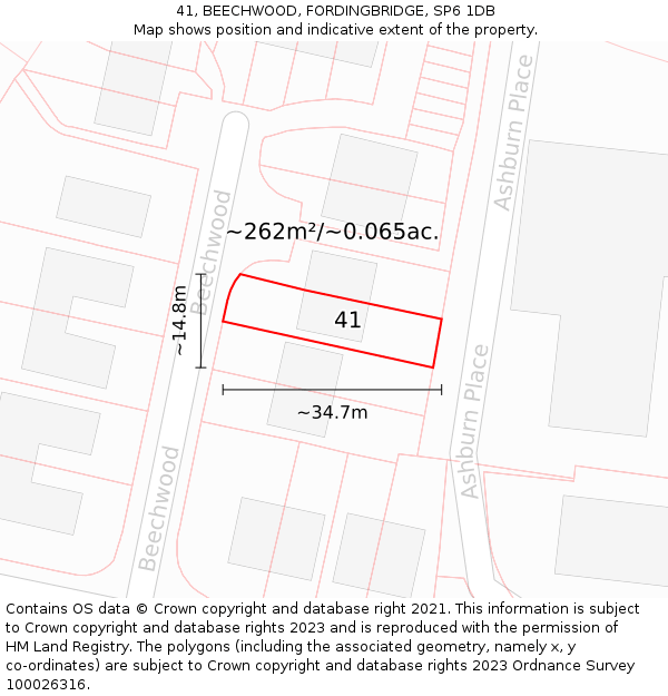 41, BEECHWOOD, FORDINGBRIDGE, SP6 1DB: Plot and title map