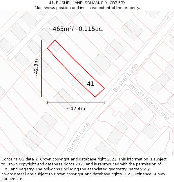 41, BUSHEL LANE, SOHAM, ELY, CB7 5BY: Plot and title map