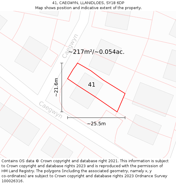 41, CAEGWYN, LLANIDLOES, SY18 6DP: Plot and title map