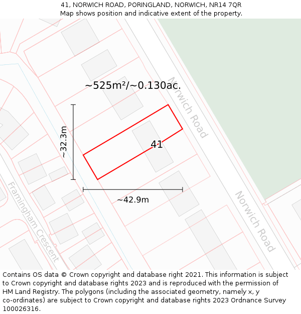 41, NORWICH ROAD, PORINGLAND, NORWICH, NR14 7QR: Plot and title map