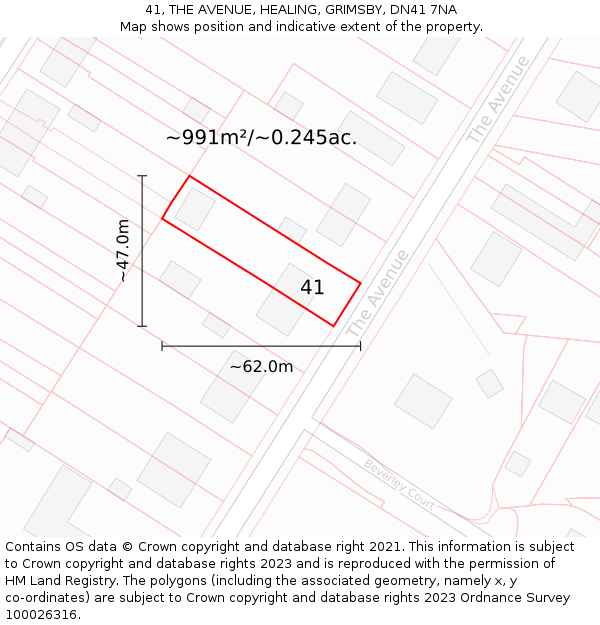 41, THE AVENUE, HEALING, GRIMSBY, DN41 7NA: Plot and title map