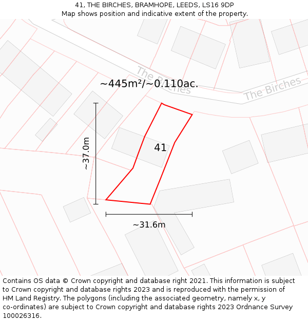 41, THE BIRCHES, BRAMHOPE, LEEDS, LS16 9DP: Plot and title map