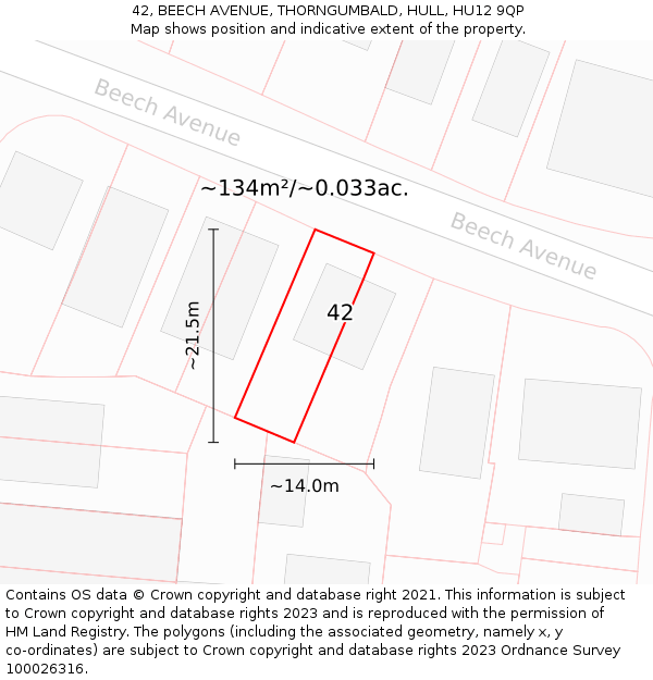 42, BEECH AVENUE, THORNGUMBALD, HULL, HU12 9QP: Plot and title map