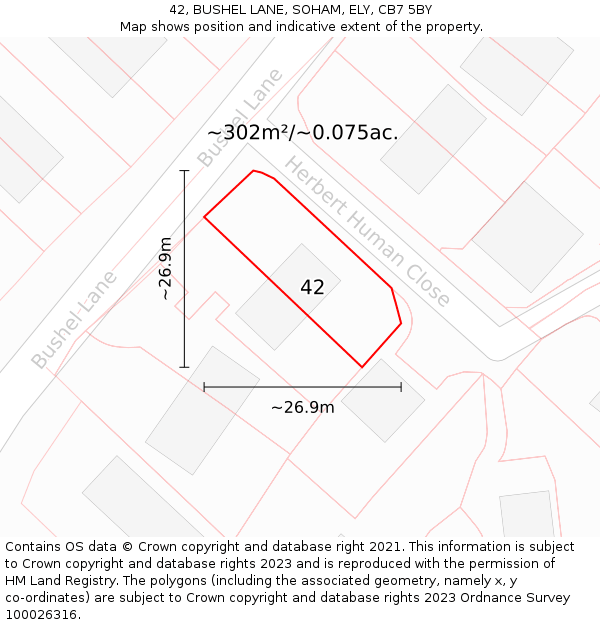 42, BUSHEL LANE, SOHAM, ELY, CB7 5BY: Plot and title map