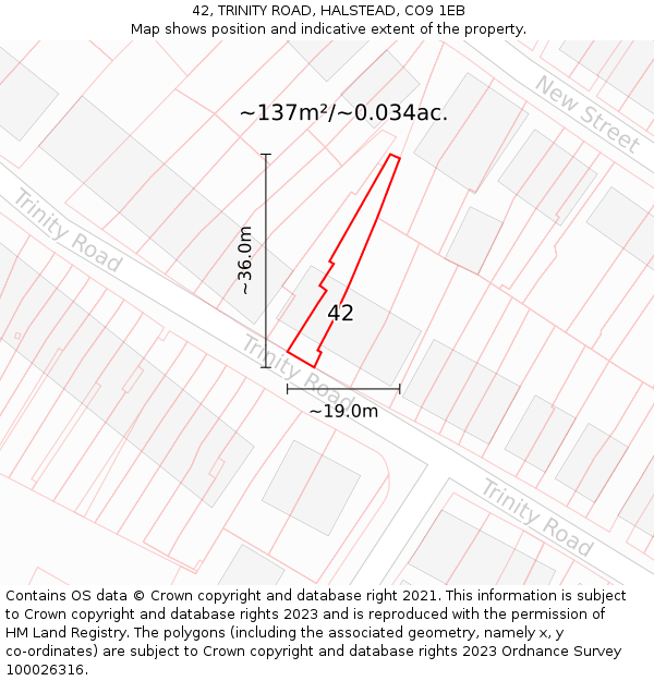 42, TRINITY ROAD, HALSTEAD, CO9 1EB: Plot and title map