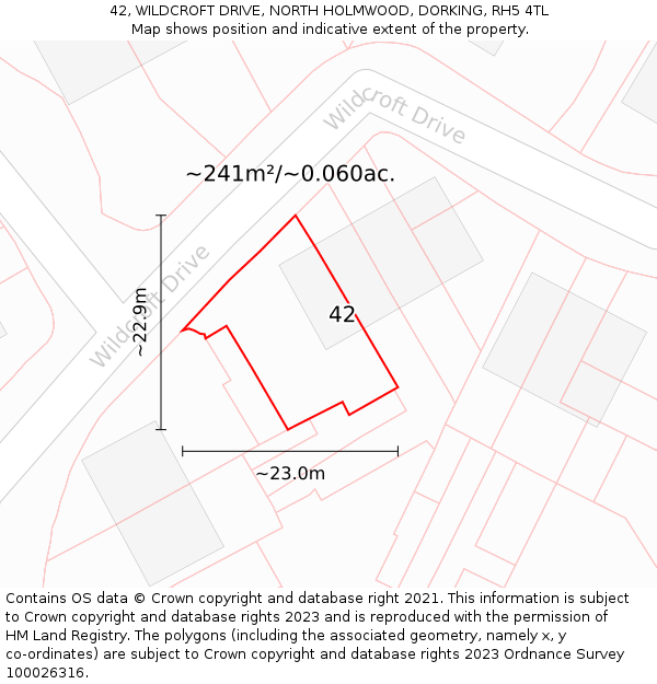 42, WILDCROFT DRIVE, NORTH HOLMWOOD, DORKING, RH5 4TL: Plot and title map