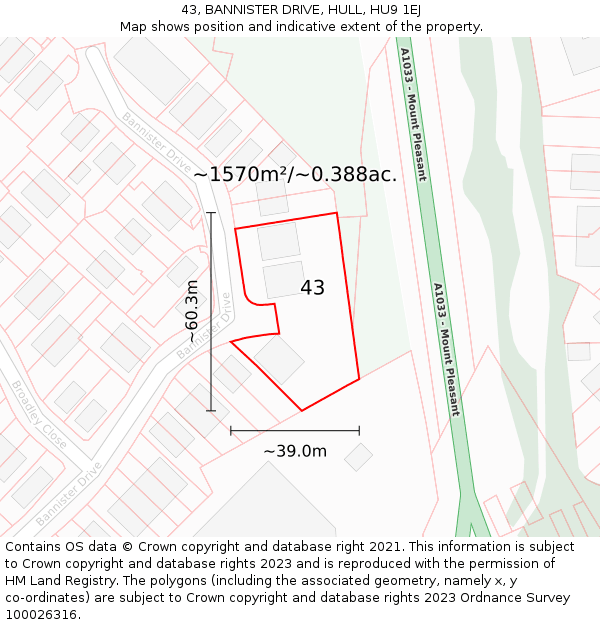 43, BANNISTER DRIVE, HULL, HU9 1EJ: Plot and title map