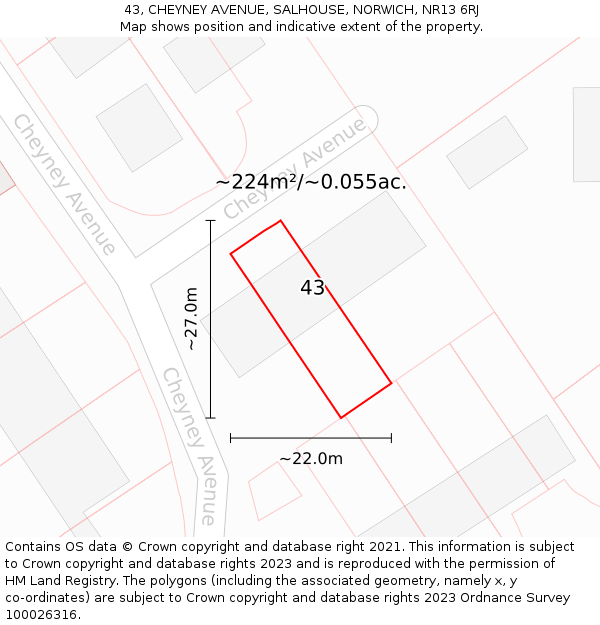 43, CHEYNEY AVENUE, SALHOUSE, NORWICH, NR13 6RJ: Plot and title map