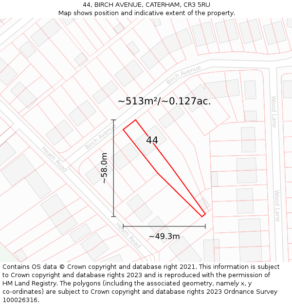 44, BIRCH AVENUE, CATERHAM, CR3 5RU: Plot and title map