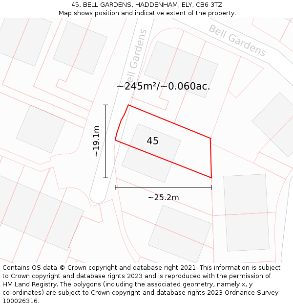 45, BELL GARDENS, HADDENHAM, ELY, CB6 3TZ: Plot and title map