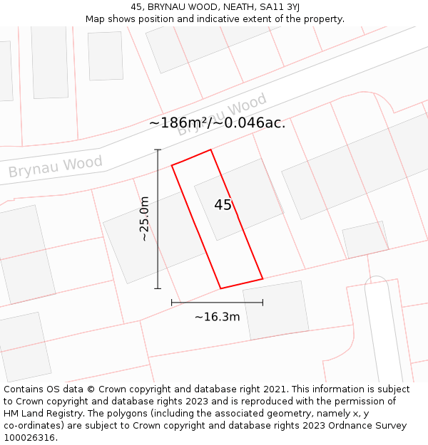 45, BRYNAU WOOD, NEATH, SA11 3YJ: Plot and title map