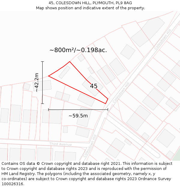45, COLESDOWN HILL, PLYMOUTH, PL9 8AG: Plot and title map