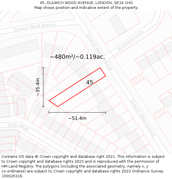 45, DULWICH WOOD AVENUE, LONDON, SE19 1HG: Plot and title map