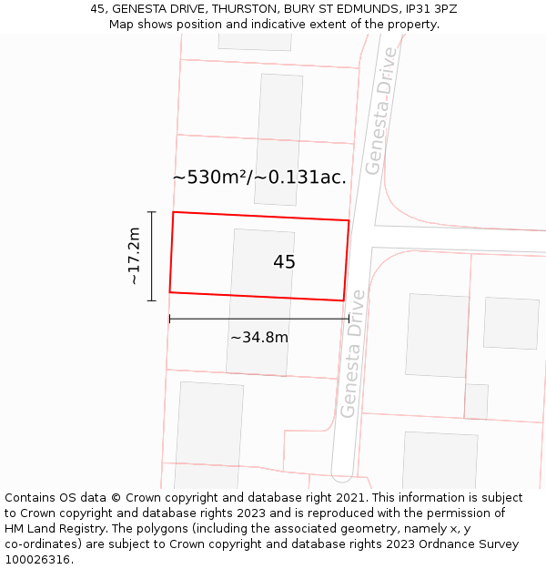 45, GENESTA DRIVE, THURSTON, BURY ST EDMUNDS, IP31 3PZ: Plot and title map