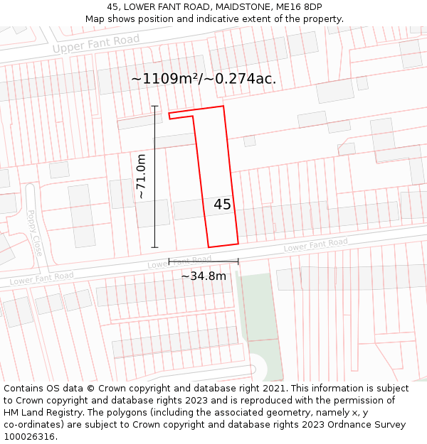 45, LOWER FANT ROAD, MAIDSTONE, ME16 8DP: Plot and title map