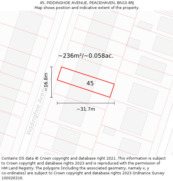 45, PIDDINGHOE AVENUE, PEACEHAVEN, BN10 8RJ: Plot and title map