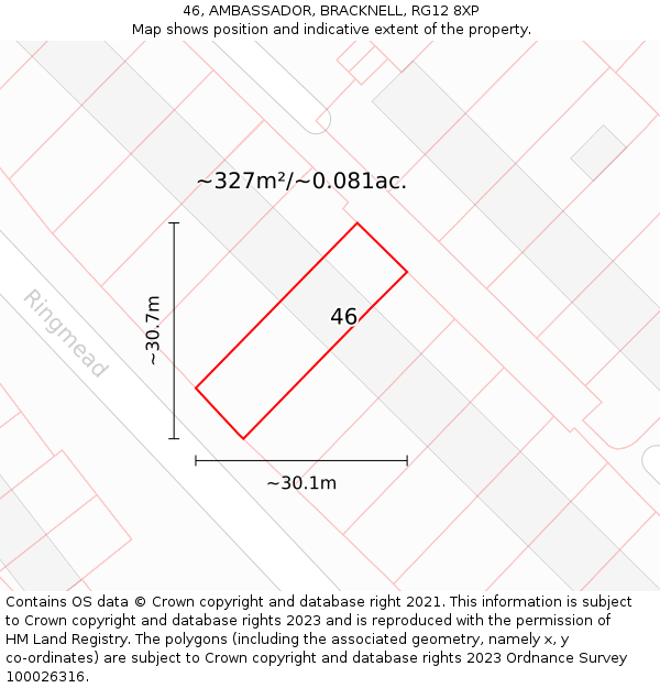 46, AMBASSADOR, BRACKNELL, RG12 8XP: Plot and title map