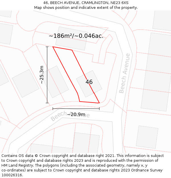 46, BEECH AVENUE, CRAMLINGTON, NE23 6XS: Plot and title map