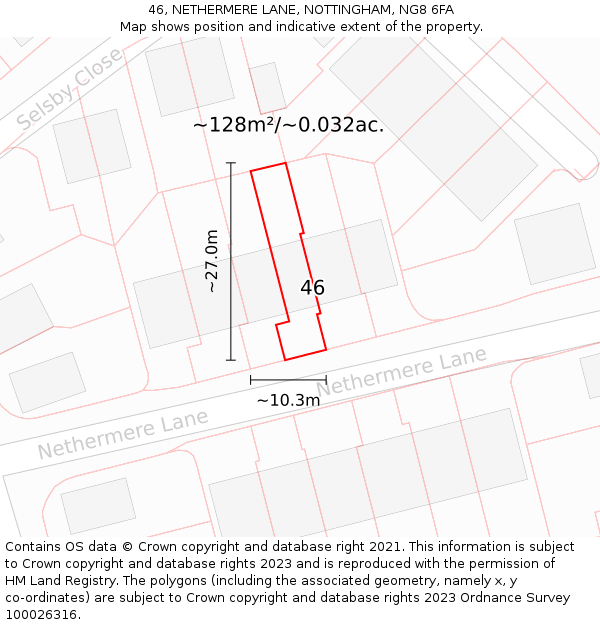 46, NETHERMERE LANE, NOTTINGHAM, NG8 6FA: Plot and title map